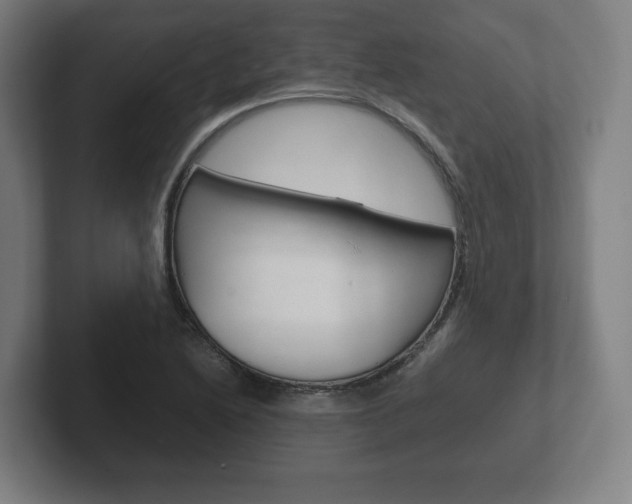 X0000102261222200807250831