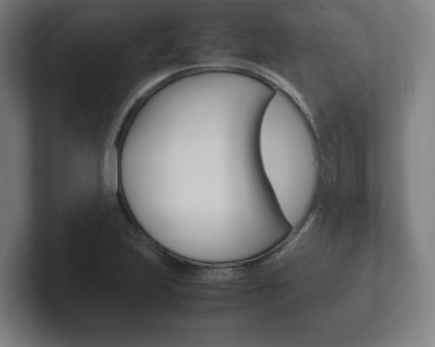 X0000102261223200807250831