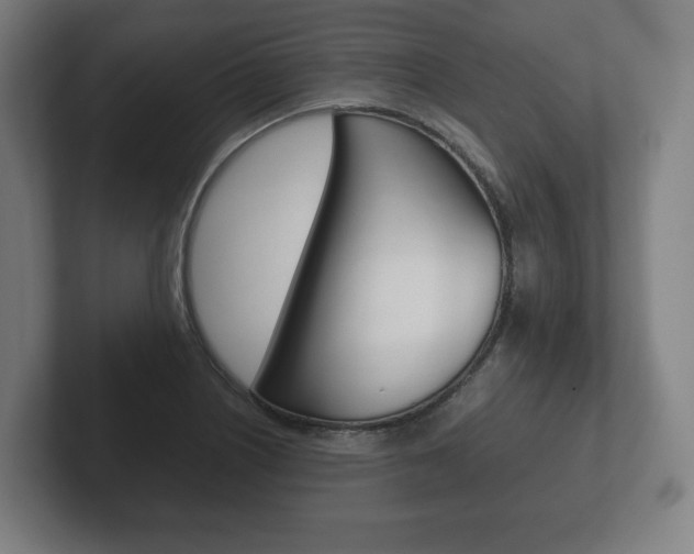 X0000102261226200807250831