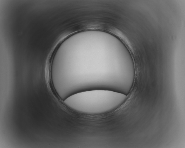 X0000102261227200807250831