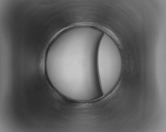 X0000102261228200807250831