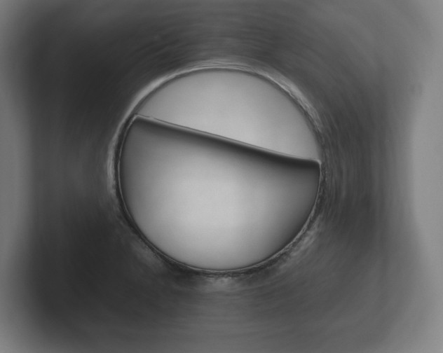 X0000102261230200807250831