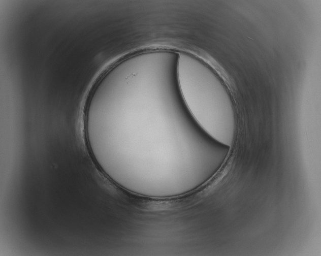X0000102261232200807250831