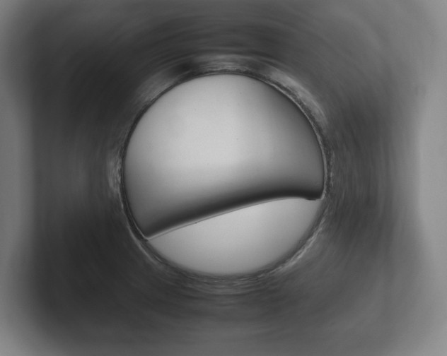 X0000102261233200807250831