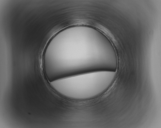 X0000102261234200807250831