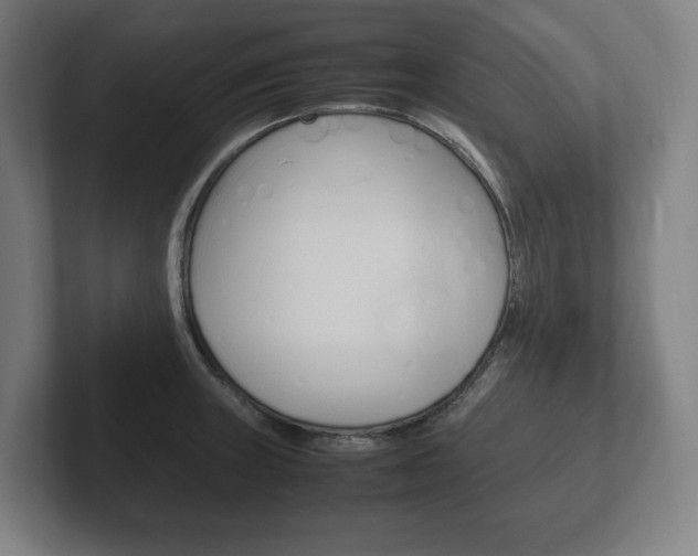 X0000102261235200807250831