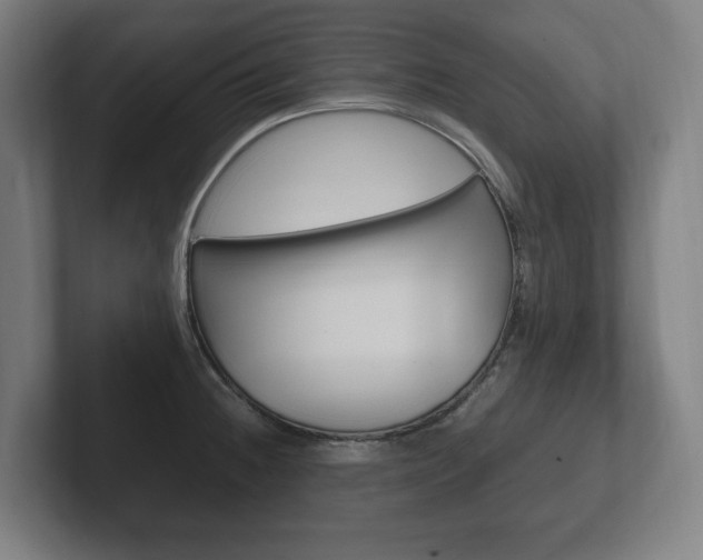 X0000102261236200807250831
