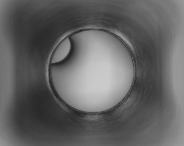 X0000102261237200807250831