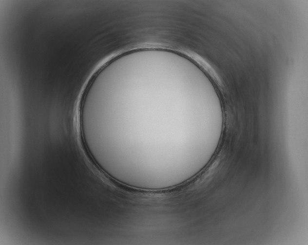 X0000102261238200807250831