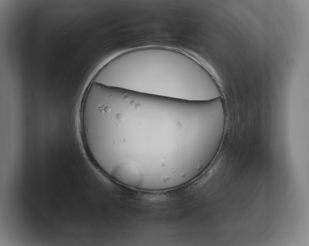 X0000102261239200807250831