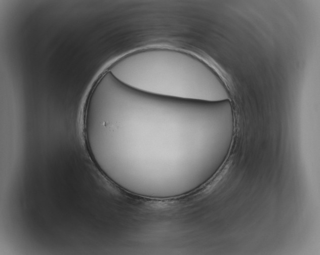 X0000102261240200807250831