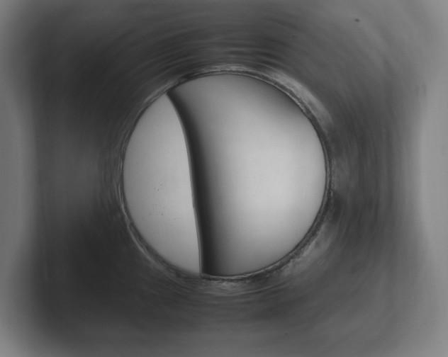 X0000102261241200807250831
