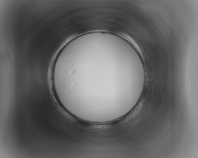 X0000102261243200807250831