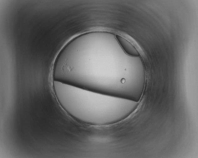 X0000102261244200807250831