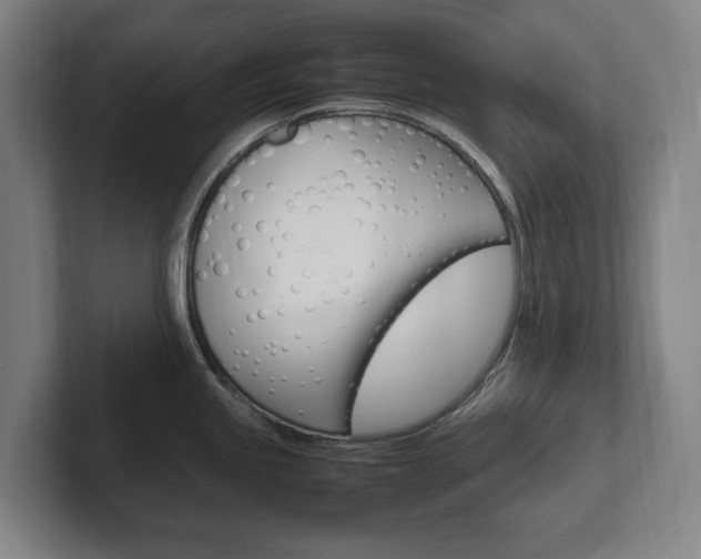 X0000102261245200807250831