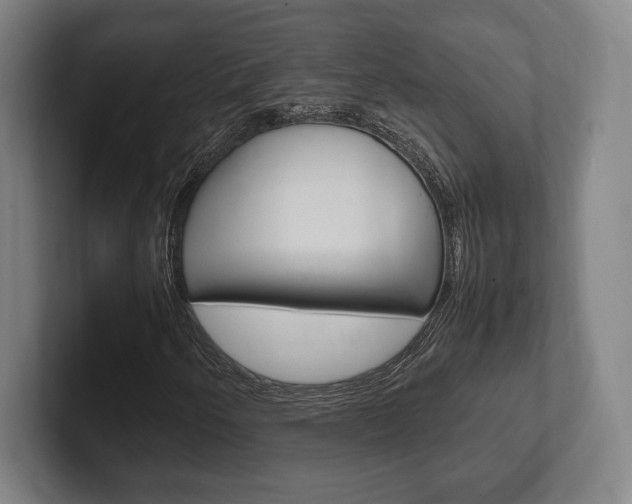 X0000102261250200807250831