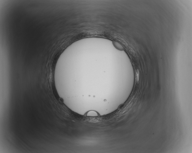 X0000102261251200807250831