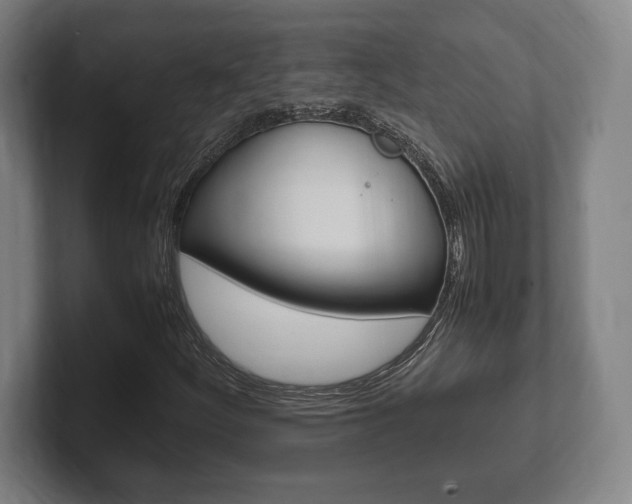 X0000102261252200807250831