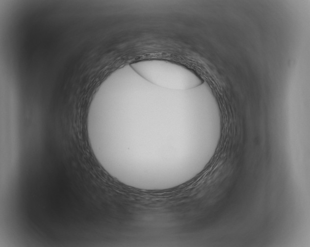 X0000102261253200807250831
