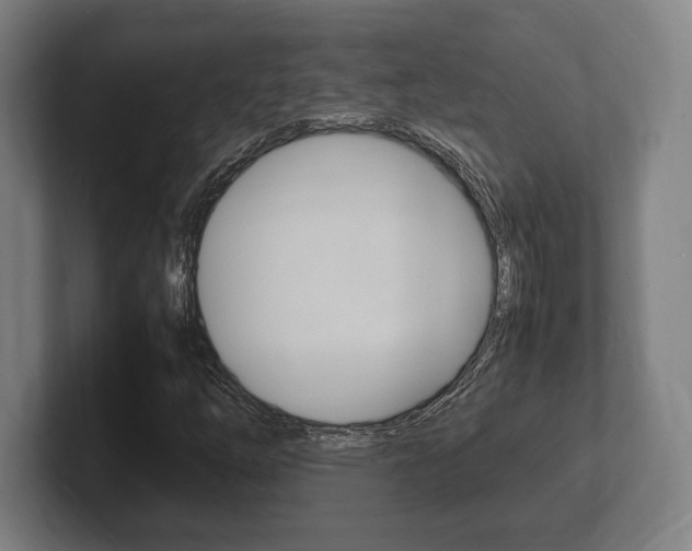 X0000102261254200807250831