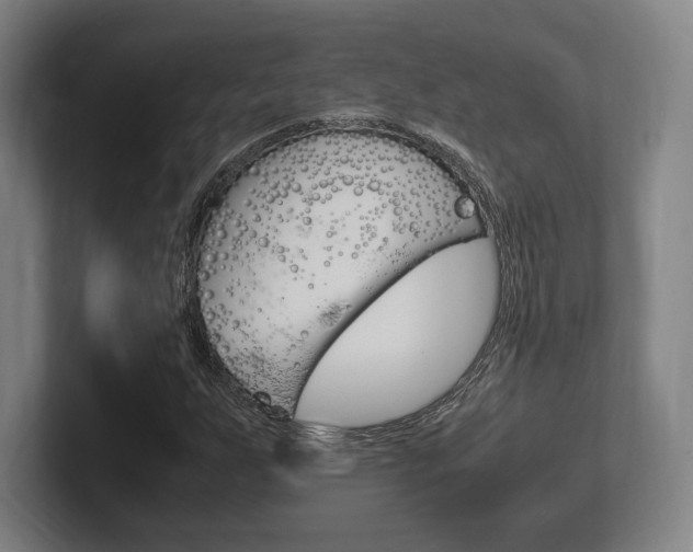 X0000102261255200807250831