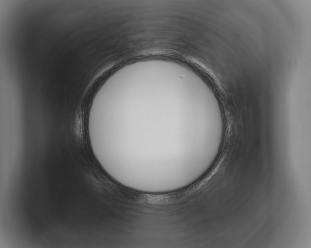 X0000102261258200807250831