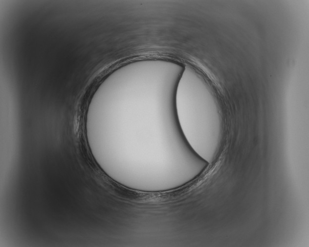 X0000102261259200807250831