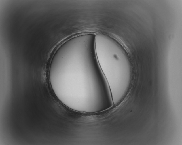 X0000102261260200807250830