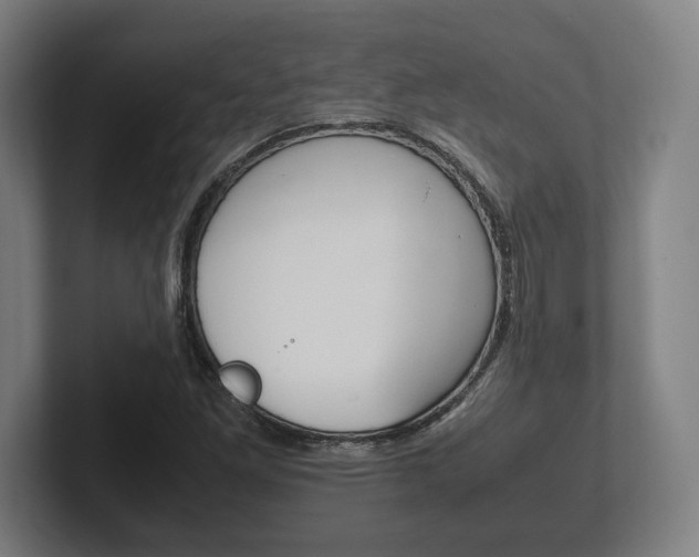 X0000102261261200807250830