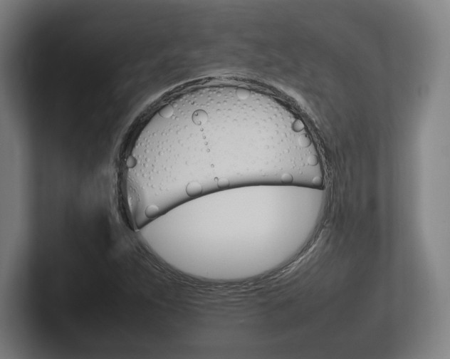 X0000102261263200807250830