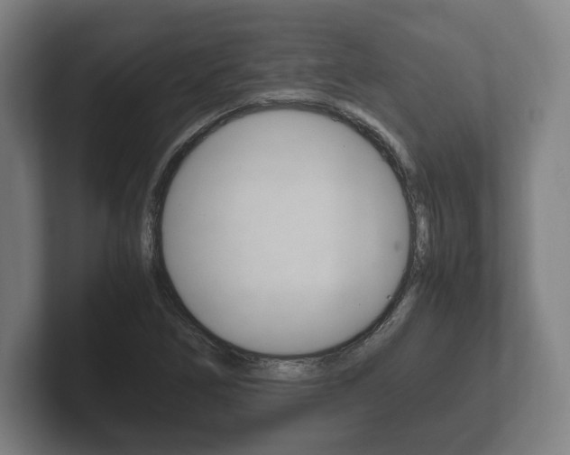 X0000102261266200807250830