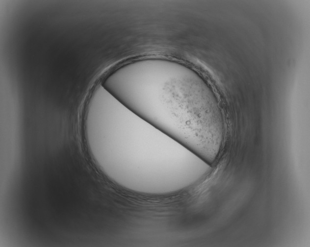 X0000102261267200807250830