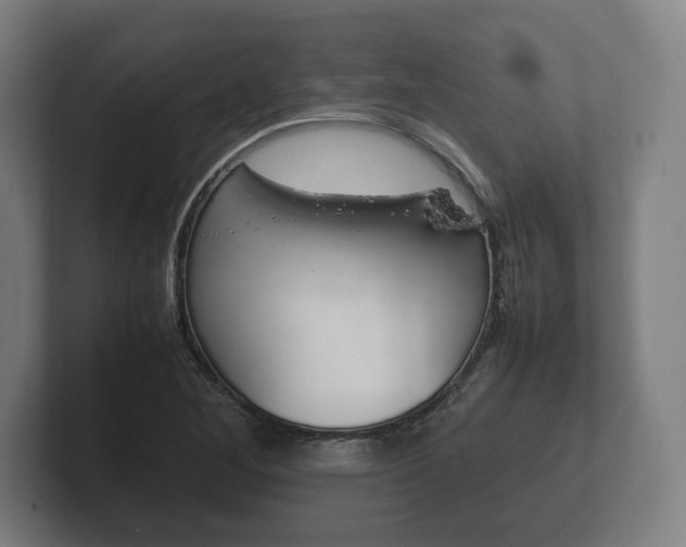 X0000102261268200807250830