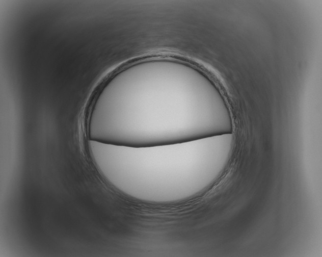 X0000102261271200807250830