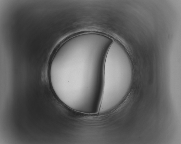 X0000102261272200807250830