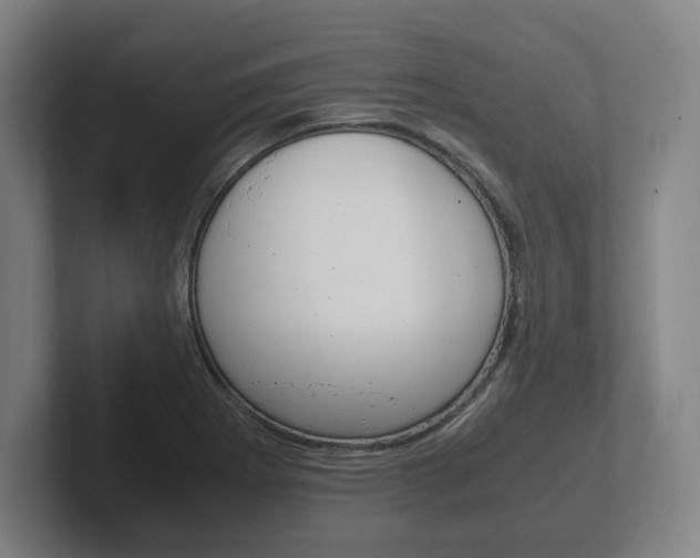 X0000102261273200807250830