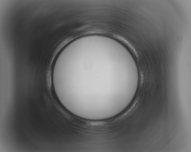 X0000102261274200807250830