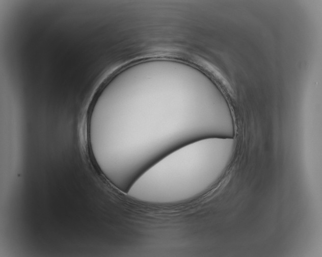 X0000102261275200807250830