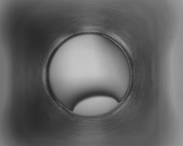 X0000102261277200807250830