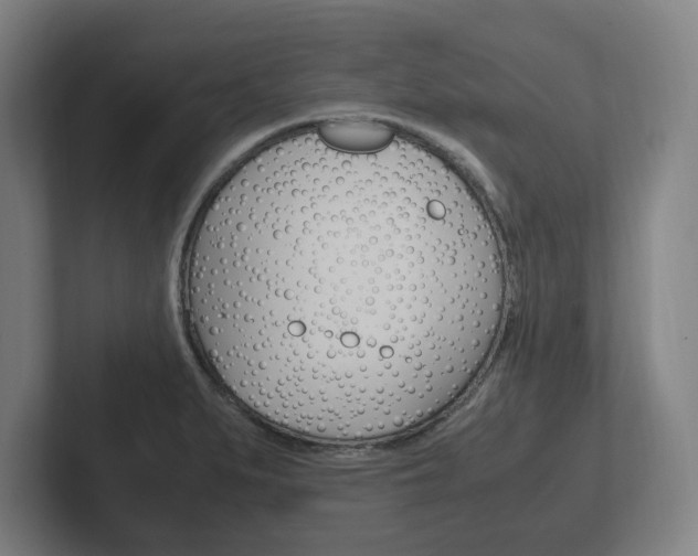 X0000102261279200807250830