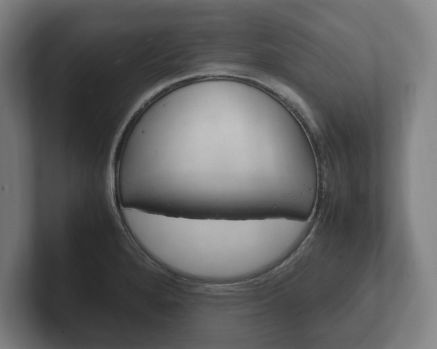 X0000102261280200807250830