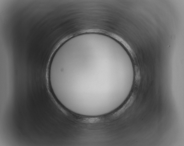 X0000102261282200807250830
