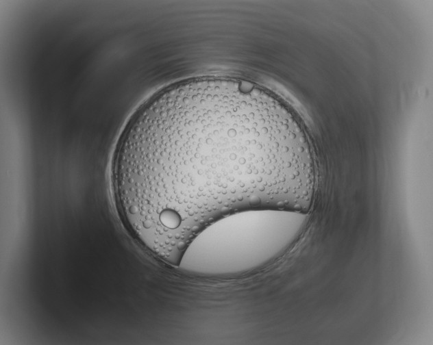X0000102261283200807250830