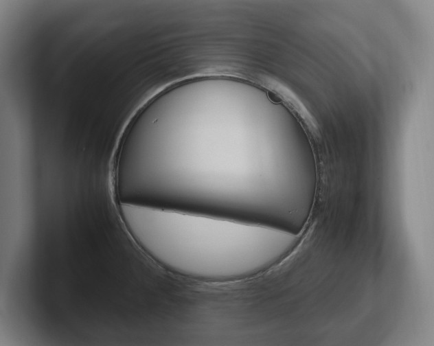 X0000102261284200807250830
