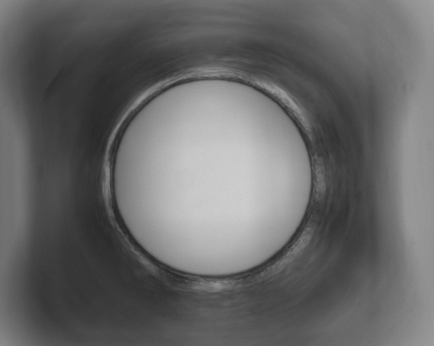X0000102261286200807250830