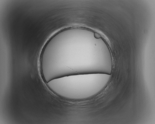 X0000102261287200807250830
