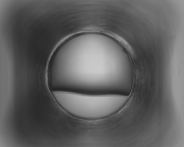 X0000102261288200807250830