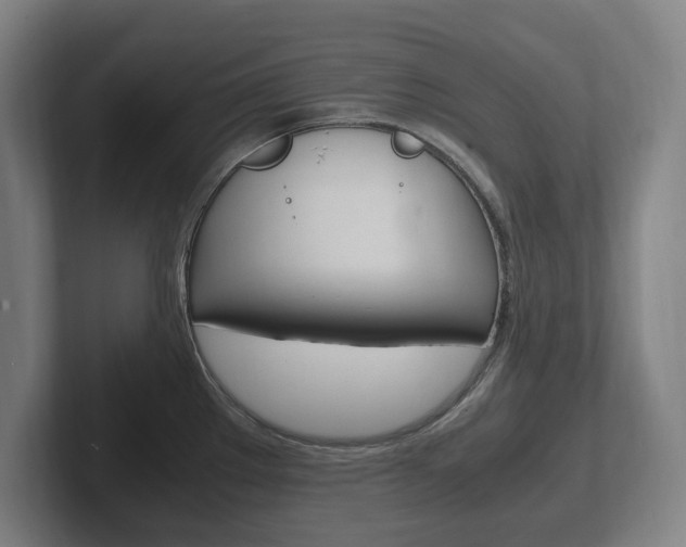 X0000102261289200807250830