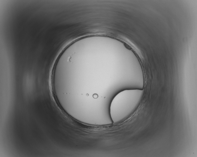 X0000102261291200807250830