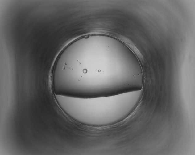 X0000102261292200807250830